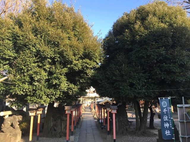 Serene and Peaceful Senju Shrine