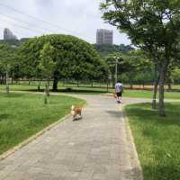 大溪河濱公園