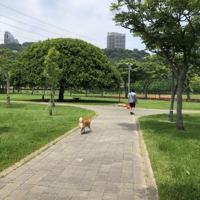 大溪河濱公園