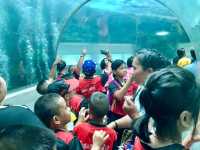 KKB Aquarium 🐟