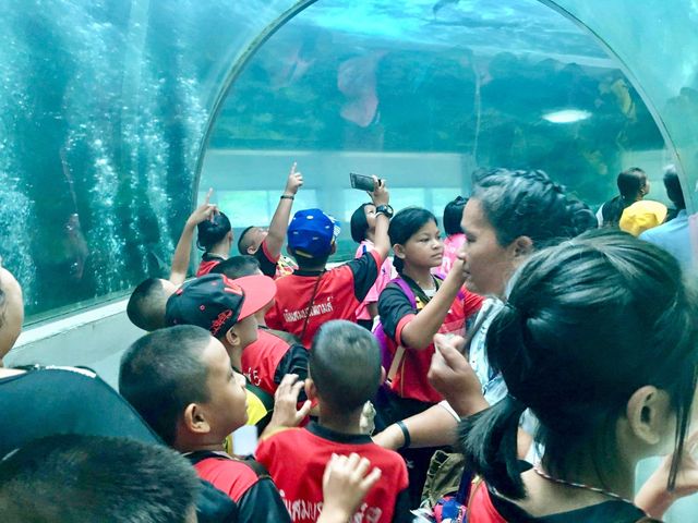 KKB Aquarium 🐟