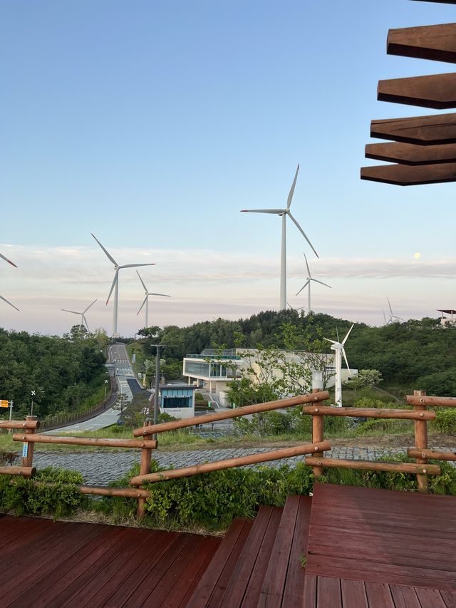 영덕 여행지 추천😊