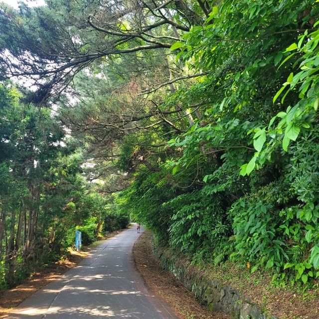 서귀포 여행 중 삼매봉 공원 정상에서 휴식