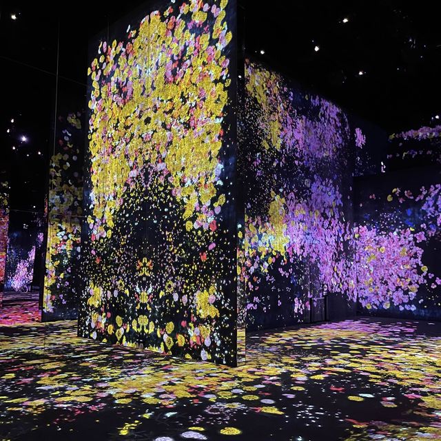 澳門TeamLab-沉浸於藝術與現實之中 澳門TeamLab-沉浸於藝術與現實之中