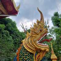 วัดดี โอโซนเด่น ต้องมาที่วัดนาคูหา