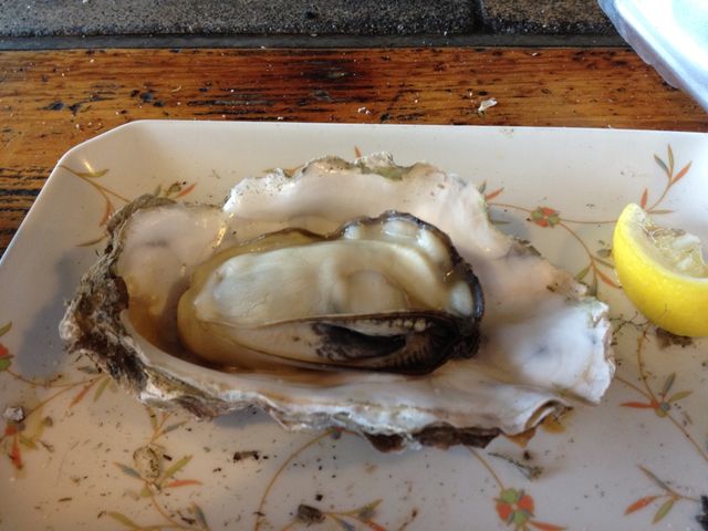 北海道　北海道観光　道東旅　厚岸に来たならやっぱり食べたい生ガキ、焼きガキ、カキフライ、牡蠣カレー！