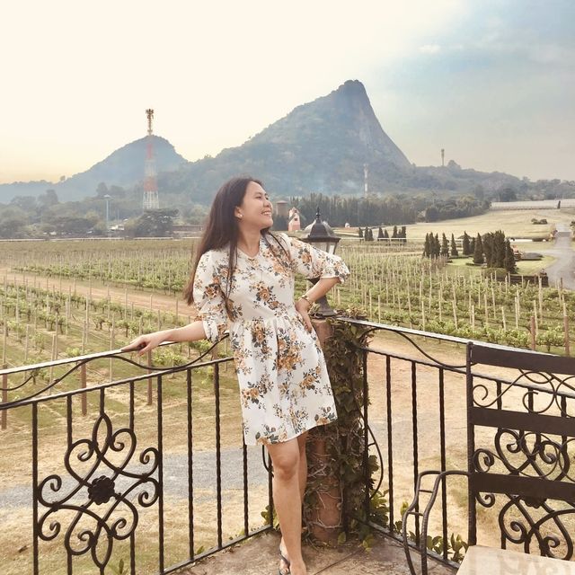 Silverlake - A Large Vineyard 🍇🤗