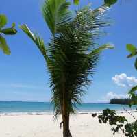 หาดในยาง
