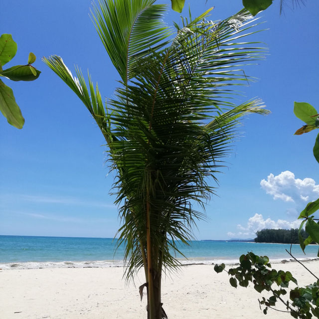 หาดในยาง