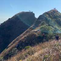 香港🇭🇰｜🌟行山必選之一 - 大嶼山鳳凰徑的壯麗徒步之旅 ⛰️