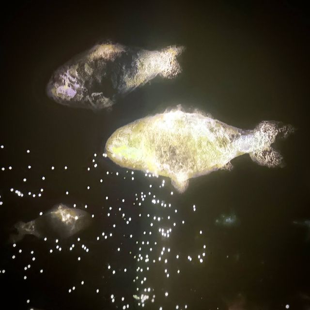 飽嚐宋朝*䭘*色