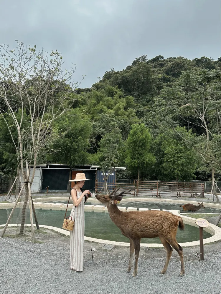 宜蘭景點/斑比山丘 Bambi Landi🦌