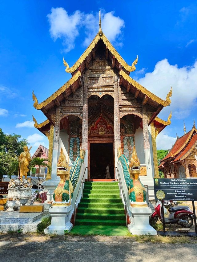 Wat tung yu🙏🏼