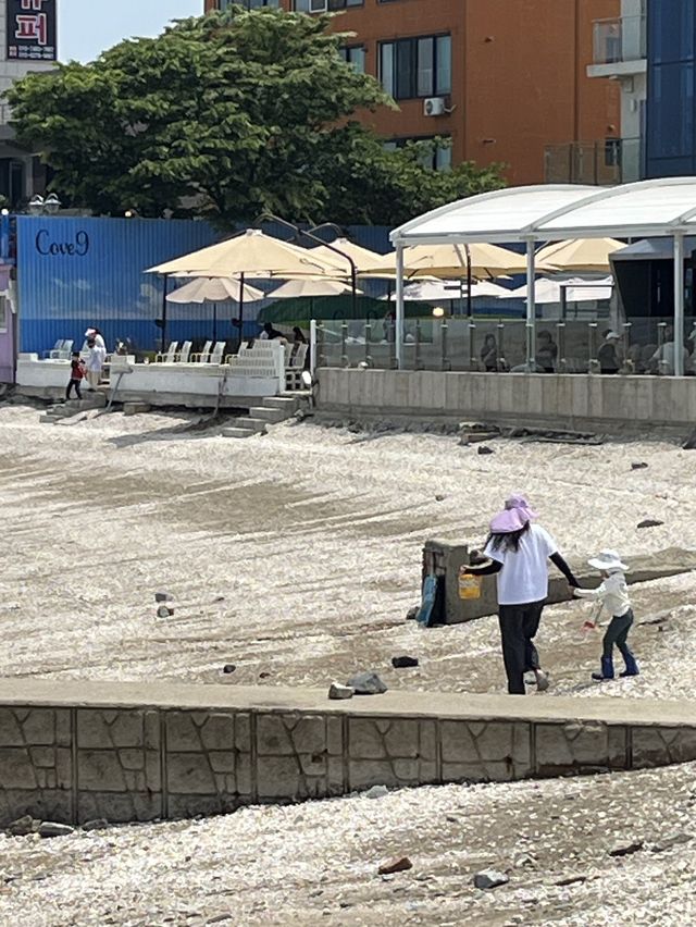 📌 서울근교 당일치기 - 대부도 “왐왐커피” , “구봉도-해솔길” 