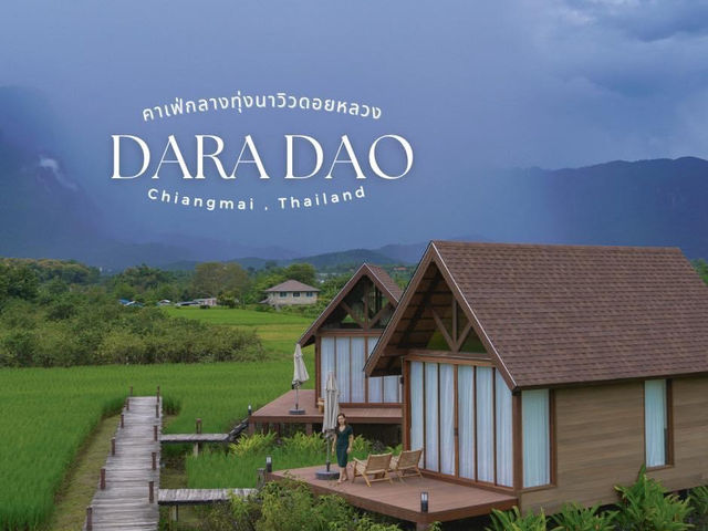 DaraDao Cafe  ร้านกาแฟกลางทุ่งนา