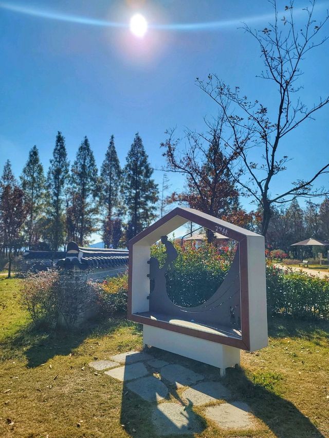 변함없이 아름다운 경주의 가을🍁🍂