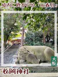 【大阪府/枚岡神社】境内に鹿がいる「元春日」