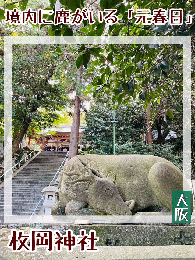 【大阪府/枚岡神社】境内に鹿がいる「元春日」
