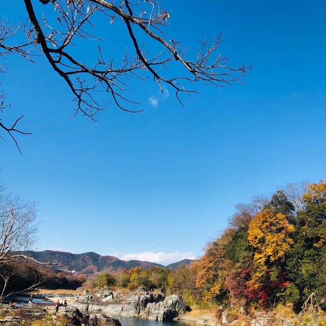 松尾川河川 🌊🛶悠閒划船⛵️🏞️