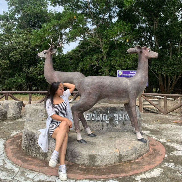 สะพานชมกวาง