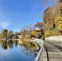 Kirchenfeldbrücke: History in Every Step