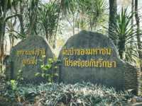 ฟอดปอด ยอดภูกระดึง จังหวัดเลย