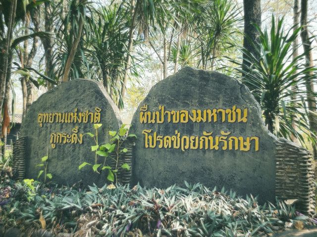 ฟอดปอด ยอดภูกระดึง จังหวัดเลย