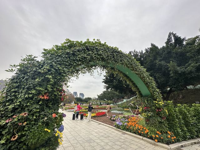 WINTER FRESH at Taipa Houses-Museum 🌸