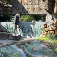 美麗的濕地公園！