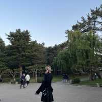 경주 여행 500% 즐기기✨