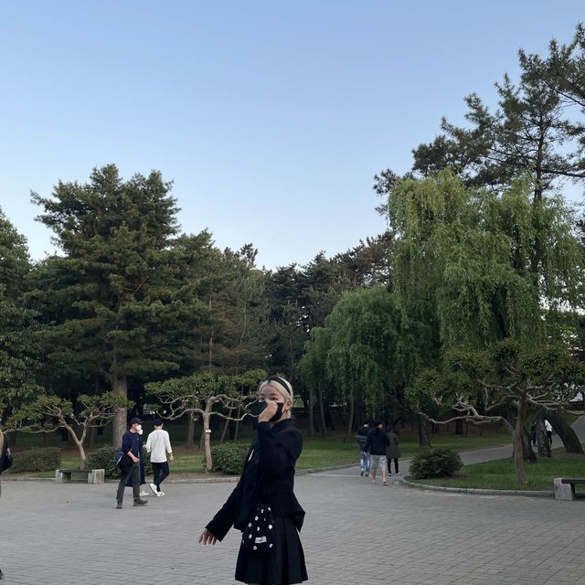 경주 여행 500% 즐기기✨ 경주 여행 500% 즐기기✨