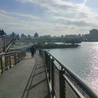 白天傍晚不同的美-雙溪濕地公園