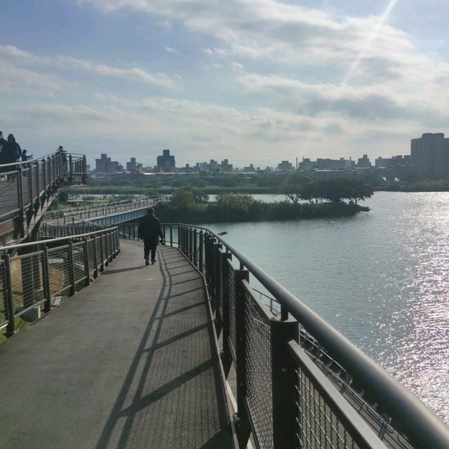 白天傍晚不同的美-雙溪濕地公園