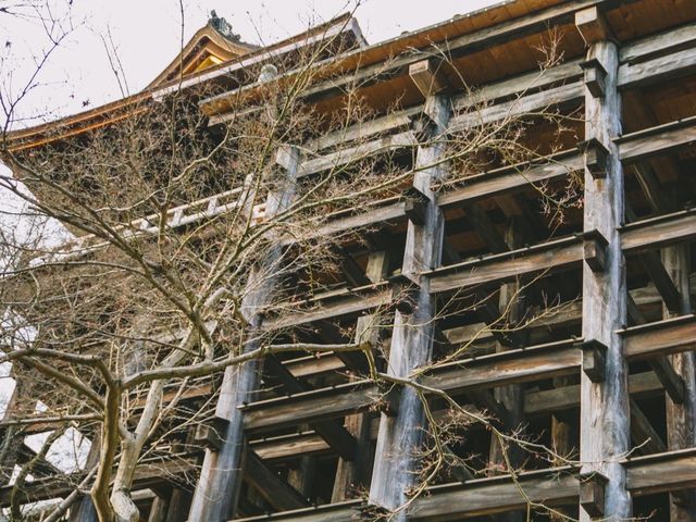 Hatsumōde at Kiyomizu-dera ⛩️