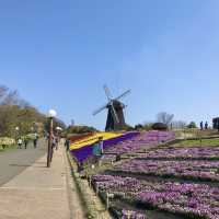 大阪にあるオランダのような風景の公園【花博記念公園 鶴見緑地】