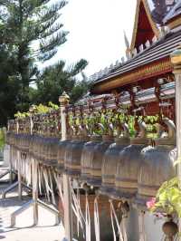วัดพระธาตุศรีจอมทองวรวิหาร พระธาตุประจำปีชวด