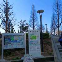 東京旅遊，豐洲公園
