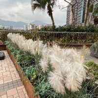 旺角MOKO新世紀廣場休憩清新小綠洲