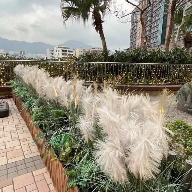 旺角MOKO新世紀廣場休憩清新小綠洲