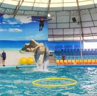 Dolphins Bay Phuket