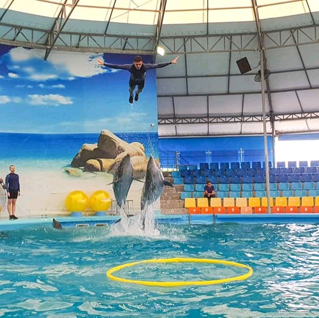 Dolphins Bay Phuket