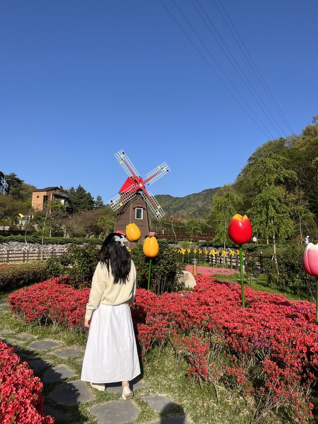 봄이 가장 예쁜 사천 당일치기 여행코스 🌸