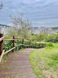 부산의 숨은 데이트 명소 용소웰빙공원 ✨