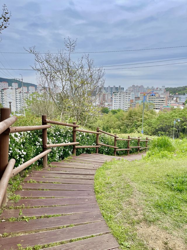 부산의 숨은 데이트 명소 용소웰빙공원 ✨
