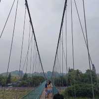 嘉義竹崎親水公園 天空走廊 行千吊橋（千禧橋）花棋木盛開美不勝收