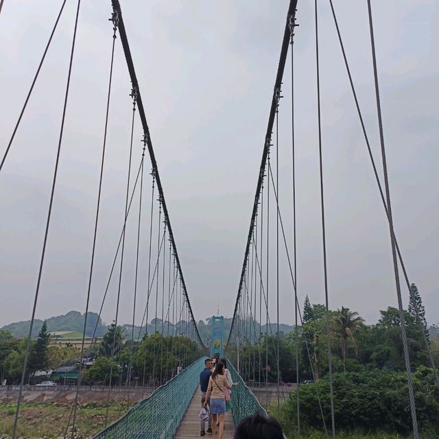 嘉義竹崎親水公園 天空走廊 行千吊橋（千禧橋）花棋木盛開美不勝收