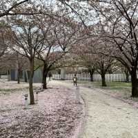 新瀉白山公園 白山神社