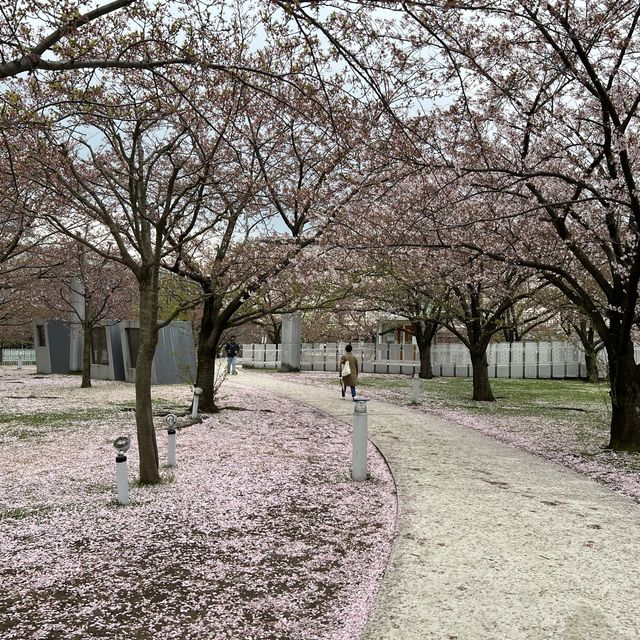 新瀉白山公園 白山神社