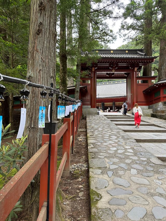 日光二荒山神社⛩️東京出發一日遊推薦☺️日光古蹟欣賞