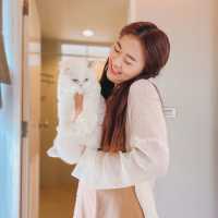 พิกัดที่พักพาน้องหมา น้องแมวเข้าพักได้ 🐕🐈